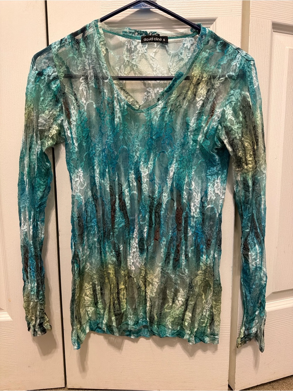 David Cline Teal and Green Lace V-Neck Long Sleeve Top